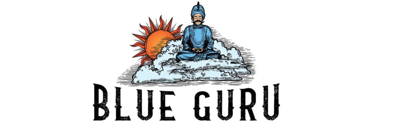 Immagine in evidenza del fornitore di software Blue Guru Games